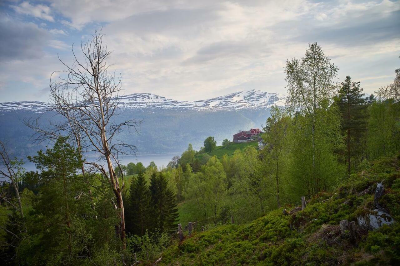 Panorama View Along The Fjord In Stryn Vila Blakset Exterior foto